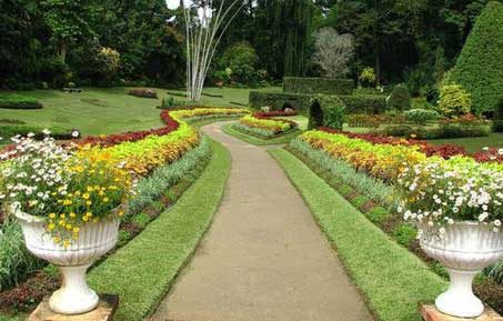 Royal-Botanical-Garden-Pera